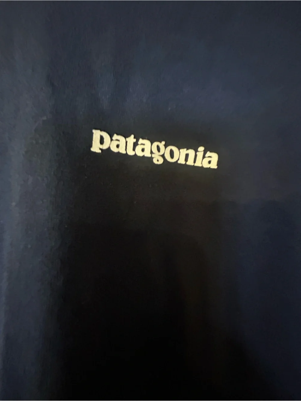 Patagonia Navy Short Sleeve T-Shirt | Men’s Medium